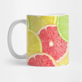 Colorful citrus slices Mug